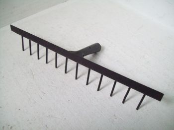 ����� ������� 12 ���� ������  